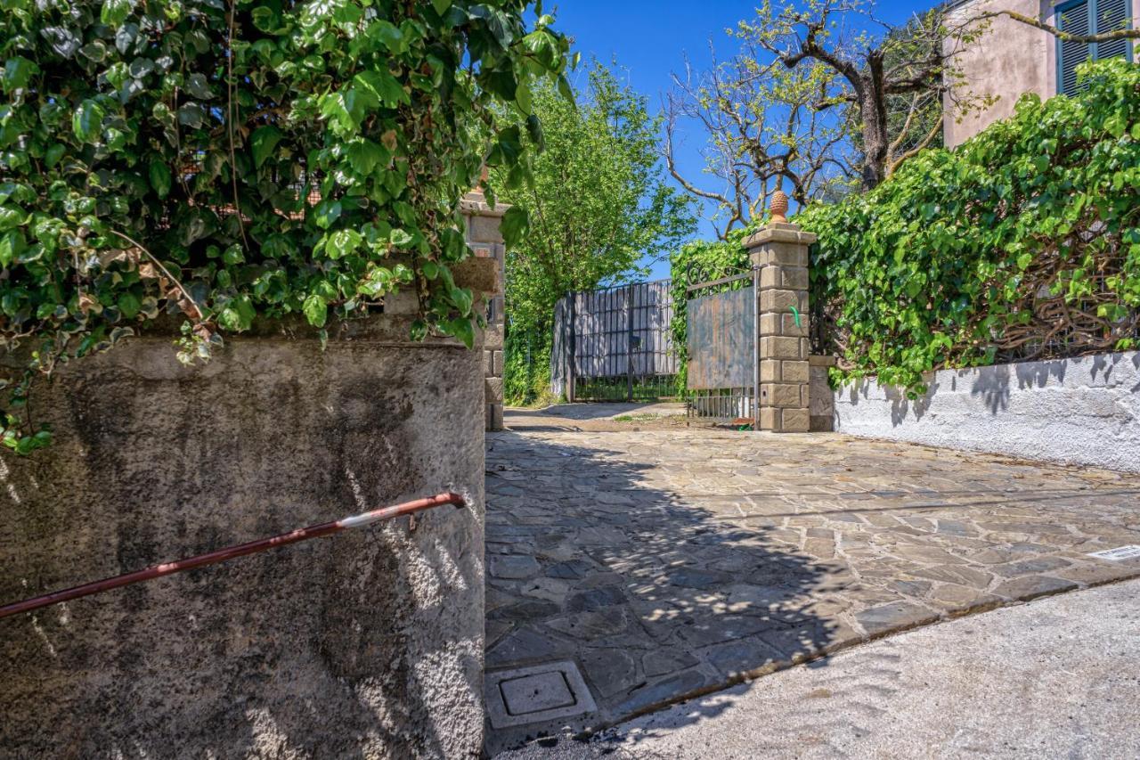 Albero Di Giada Βίλα Massa Lubrense Εξωτερικό φωτογραφία