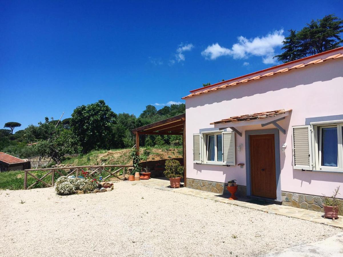 Albero Di Giada Βίλα Massa Lubrense Εξωτερικό φωτογραφία